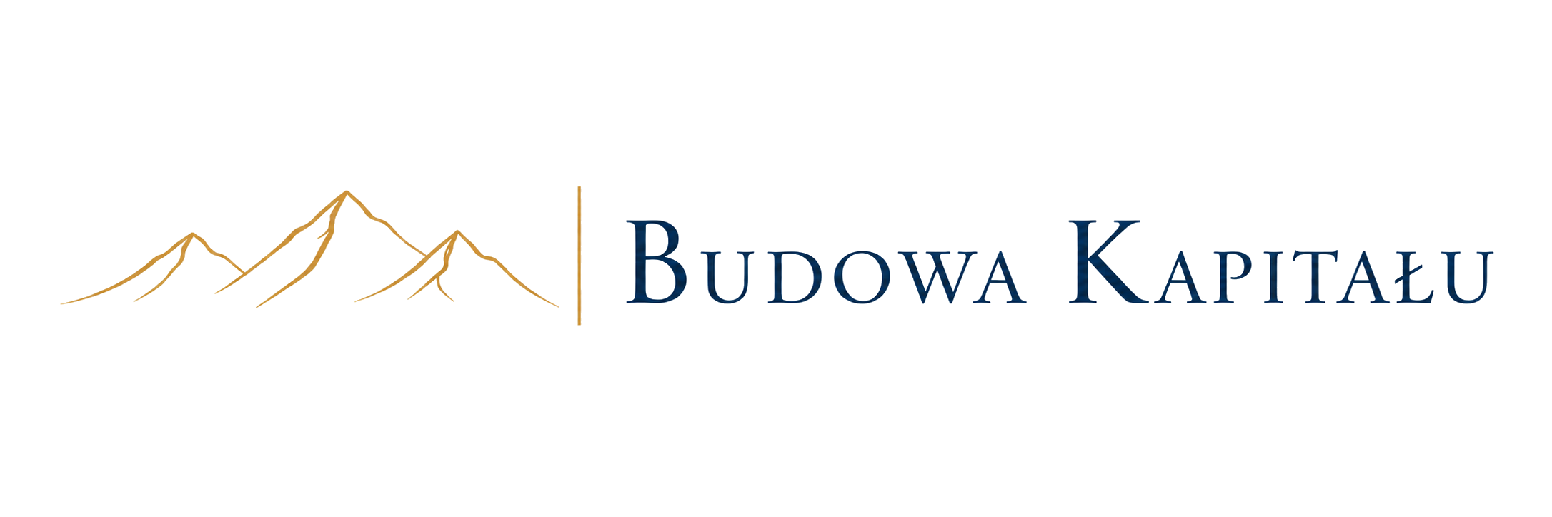 logo bk2